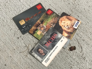 Found this poor guy's wallet